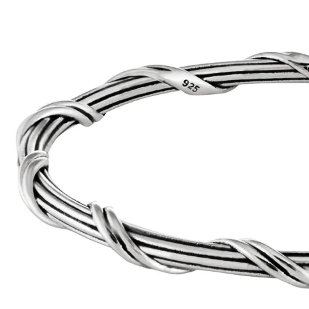 NWT NIB Peter Thomas Roth Sterling bangle.  Worn only for PM listing